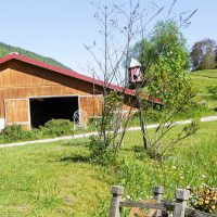 Urlaub am Wagnerhof, Steirisches Salzkammergut